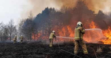 Massive Wildfire in Eastern Belgium Burns Over 27 Square Kilometers, Hundreds Evacuated