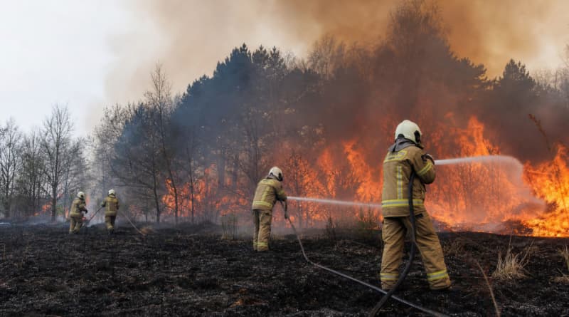 Massive Wildfire in Eastern Belgium Burns Over 27 Square Kilometers, Hundreds Evacuated