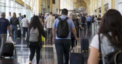 Cruises, National Parks, and European Cities Popular Among Labor Day Travelers