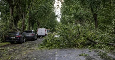 Deadly Overnight Storms Batter Germany, Killing Woman and Injuring at Least Two