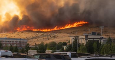 Reno Wildfire Forces Tens of Thousands to Flee as Flames Bear Down on University Campus