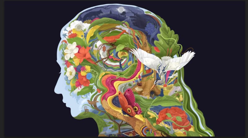 Life, Redesigned: A USC Psychiatrist’s Journey Back from a Near-Fatal Attack