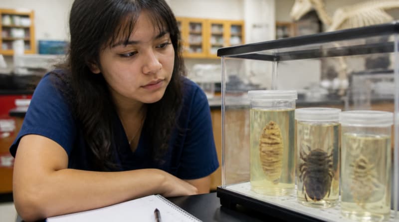 As New World Screwworm Range Expands, a Pre-Vet Student Sounds the Alarm on a Parasite That Eats Living Flesh