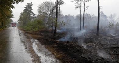 Rain Gives Firefighters Critical Edge in Belgium’s Largest Wildfire as Europe Battles Multiple Blazes