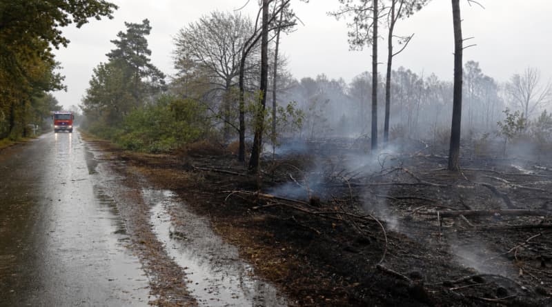 Rain Gives Firefighters Critical Edge in Belgium’s Largest Wildfire as Europe Battles Multiple Blazes
