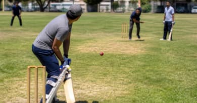 Free Cricket at Grove Park: South Berkeley Club Invites Absolute Beginners to Pick Up a Bat