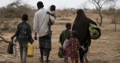 Armed Groups Force Somali Family Off Land, Exposing War’s Grip on Global Food Security