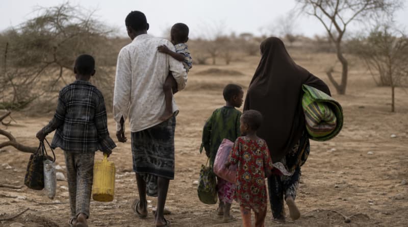 Armed Groups Force Somali Family Off Land, Exposing War’s Grip on Global Food Security