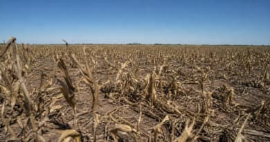 Super El Niño Threatens Latin America’s Crop Belts, Rattling Global Food Supply Chains