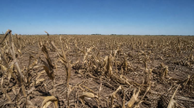 Super El Niño Threatens Latin America’s Crop Belts, Rattling Global Food Supply Chains