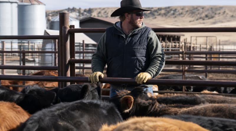 Trump Pauses Ground Beef Tariffs After Backlash From Ranchers and Rural Republicans