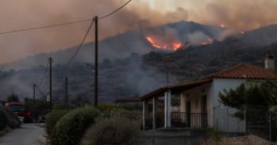 Two Dead, Several Injured as Wildfires Ravage Greek Island of Salamina
