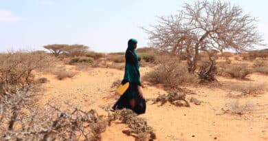 WFP Ramps Up Preparedness as El Niño Threatens to Push Tens of Millions into Acute Hunger