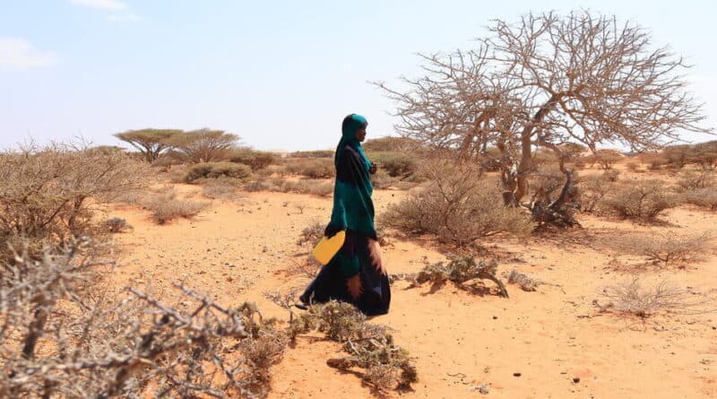 WFP Ramps Up Preparedness as El Niño Threatens to Push Tens of Millions into Acute Hunger