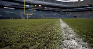 World Cup Turf Standards Shine Spotlight on NFL’s Grass Divide