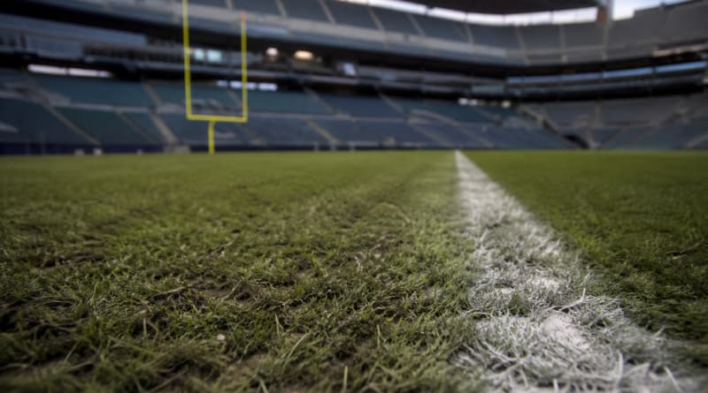 World Cup Turf Standards Shine Spotlight on NFL’s Grass Divide