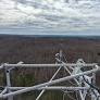 WVU AI Research Could Transform How Scientists Monitor Ecosystems