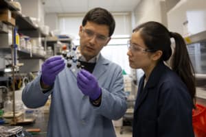 Notre Dame chemists flip the script, using molecular principles to reshape artificial intelligence