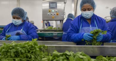 Is the U.S. Food System Becoming Less Safe?