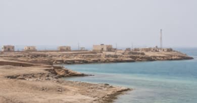 Iran-Backed Houthis Capture Key Perim Island in Bab al-Mandeb Strait