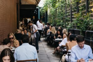 Beyond the Runway: How Dining, Debuts, and City Buzz Are Defining NYFW Spring 2027