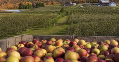 Steal This Fall Food Itinerary for a Perfect Long Weekend in Upstate New York