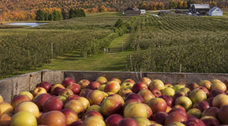 Steal This Fall Food Itinerary for a Perfect Long Weekend in Upstate New York