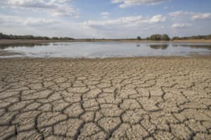 El Niño Intensifies, WMO Warns Extreme Weather Risks Could Last Into 2027