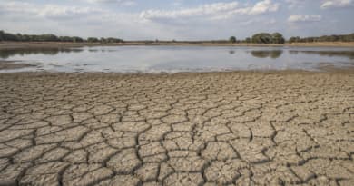 El Niño Intensifies, WMO Warns Extreme Weather Risks Could Last Into 2027