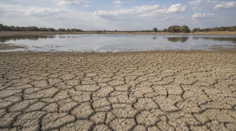 El Niño Intensifies, WMO Warns Extreme Weather Risks Could Last Into 2027