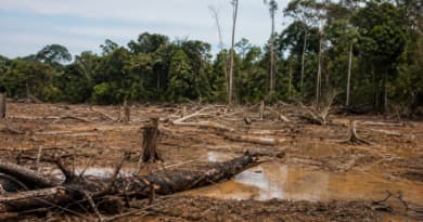 How the $1 Billion USAID Freeze Crippled Global Environmental Protections