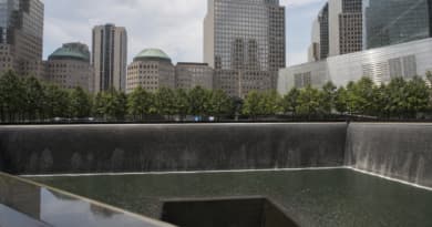From Mangled Steel to Living Memorial: How Ground Zero Became a Global Sign of Resilience